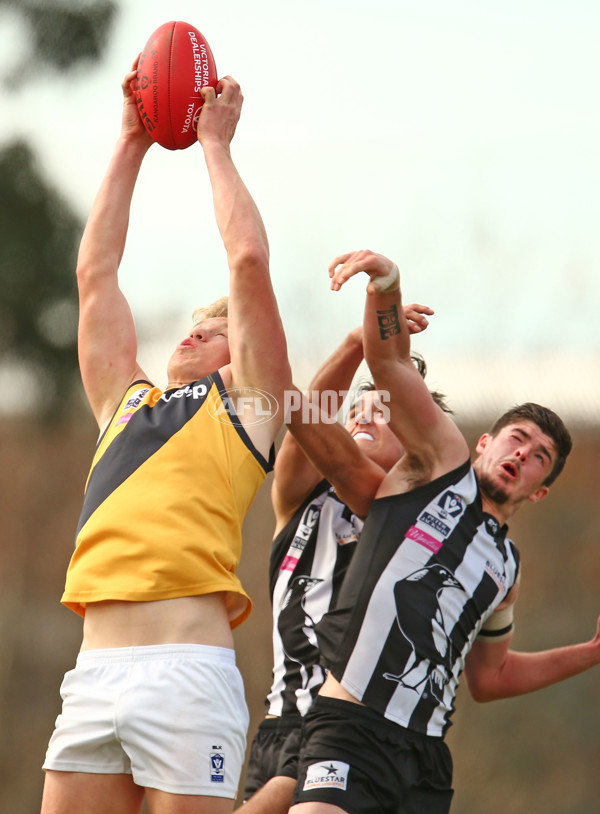 VFL 2015 Rd 19 - Collingwood v Richmond - 398599