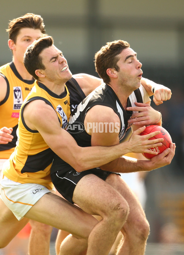 VFL 2015 Rd 19 - Collingwood v Richmond - 398604