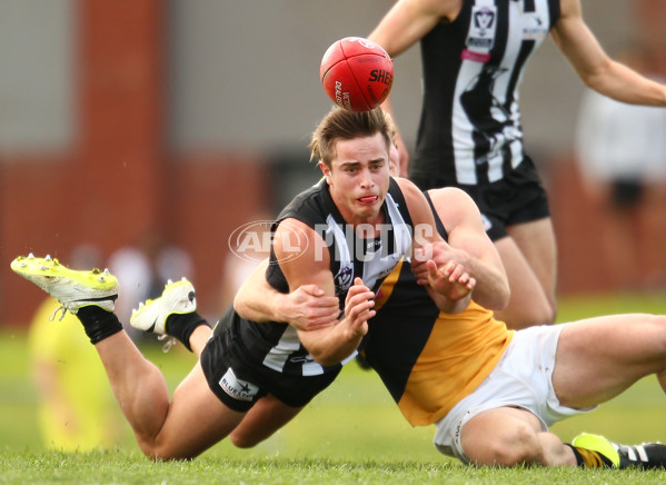 VFL 2015 Rd 19 - Collingwood v Richmond - 398608