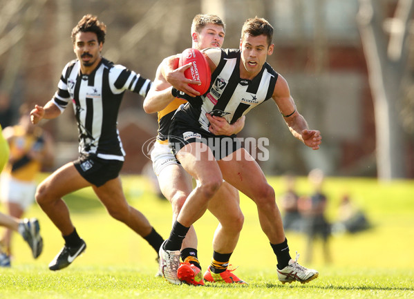 VFL 2015 Rd 19 - Collingwood v Richmond - 398638