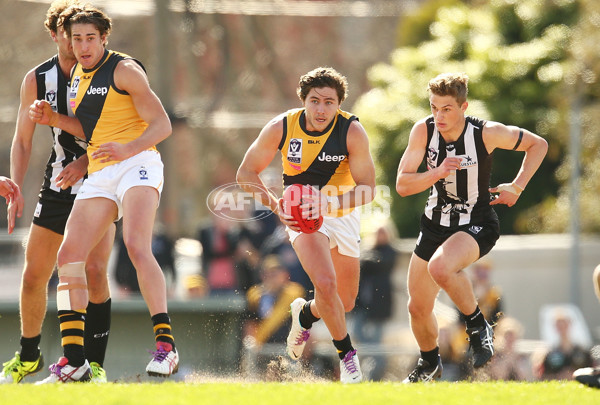 VFL 2015 Rd 19 - Collingwood v Richmond - 398652