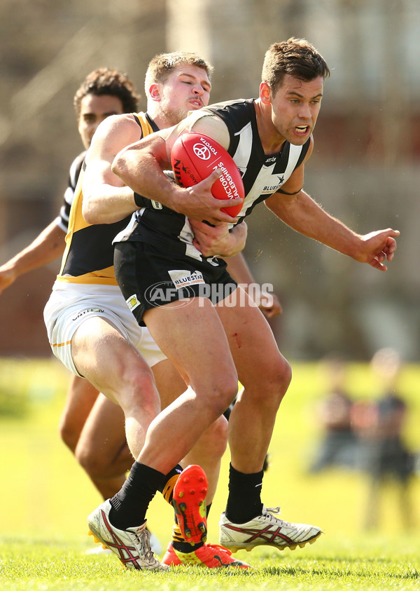 VFL 2015 Rd 19 - Collingwood v Richmond - 398639