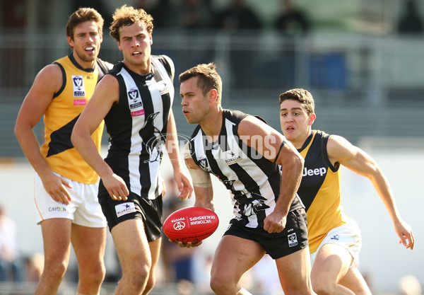 VFL 2015 Rd 19 - Collingwood v Richmond - 398649