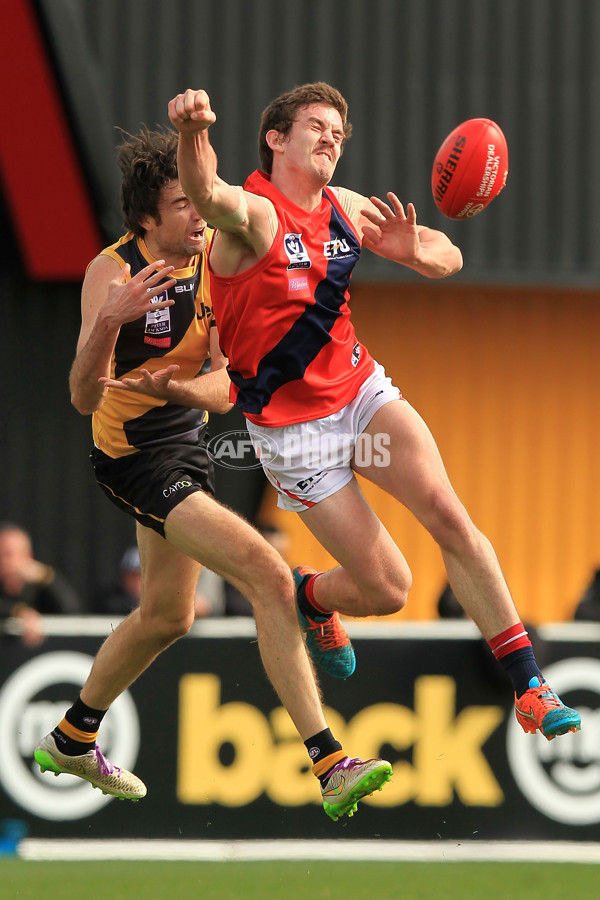 VFL 2015 Rd 18 - Richmond v Coburg Tigers - 398871