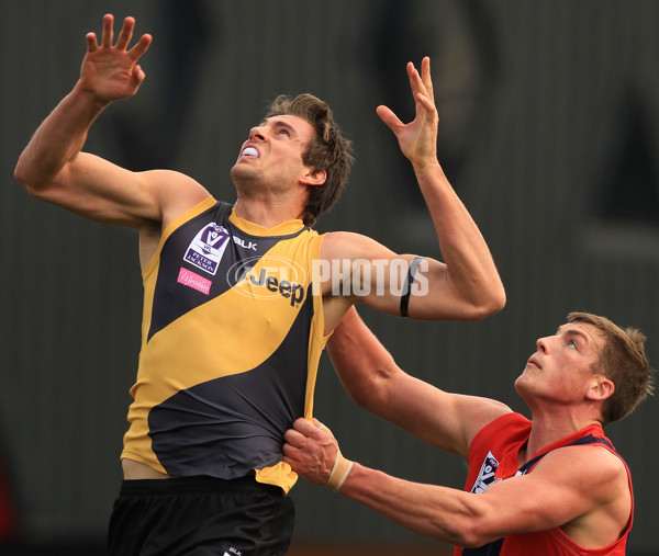 VFL 2015 Rd 18 - Richmond v Coburg Tigers - 398861