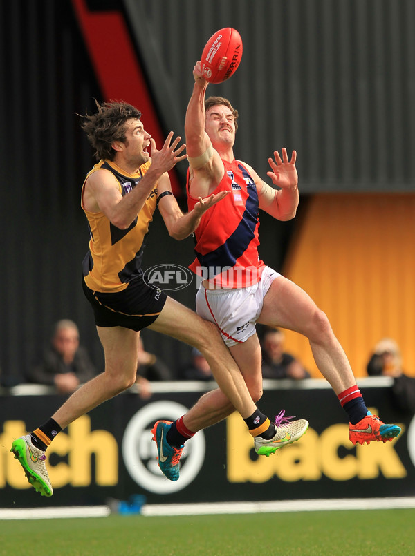 VFL 2015 Rd 18 - Richmond v Coburg Tigers - 398869