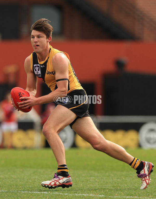 VFL 2015 Rd 18 - Richmond v Coburg Tigers - 398873