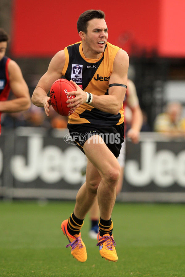 VFL 2015 Rd 18 - Richmond v Coburg Tigers - 398886