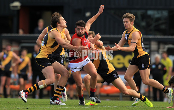 VFL 2015 Rd 18 - Richmond v Coburg Tigers - 398933