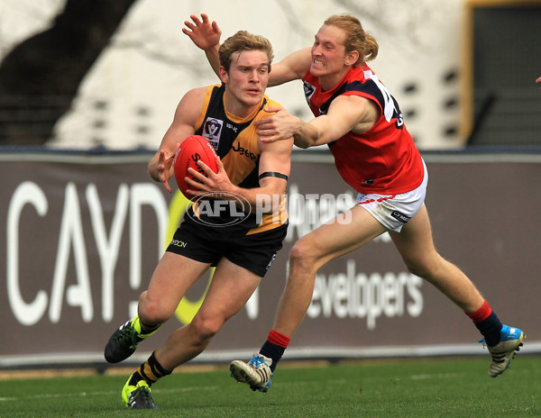 VFL 2015 Rd 18 - Richmond v Coburg Tigers - 398935