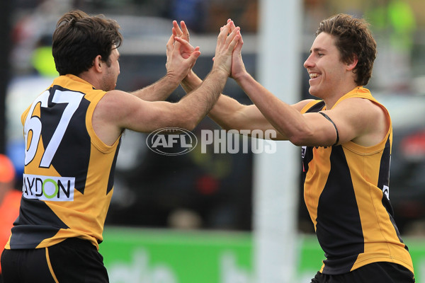 VFL 2015 Rd 18 - Richmond v Coburg Tigers - 398925