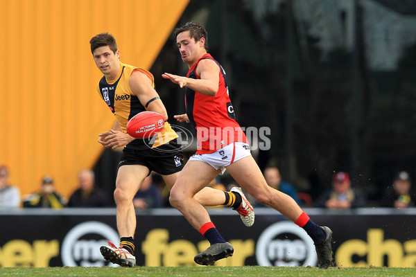 VFL 2015 Rd 18 - Richmond v Coburg Tigers - 398921