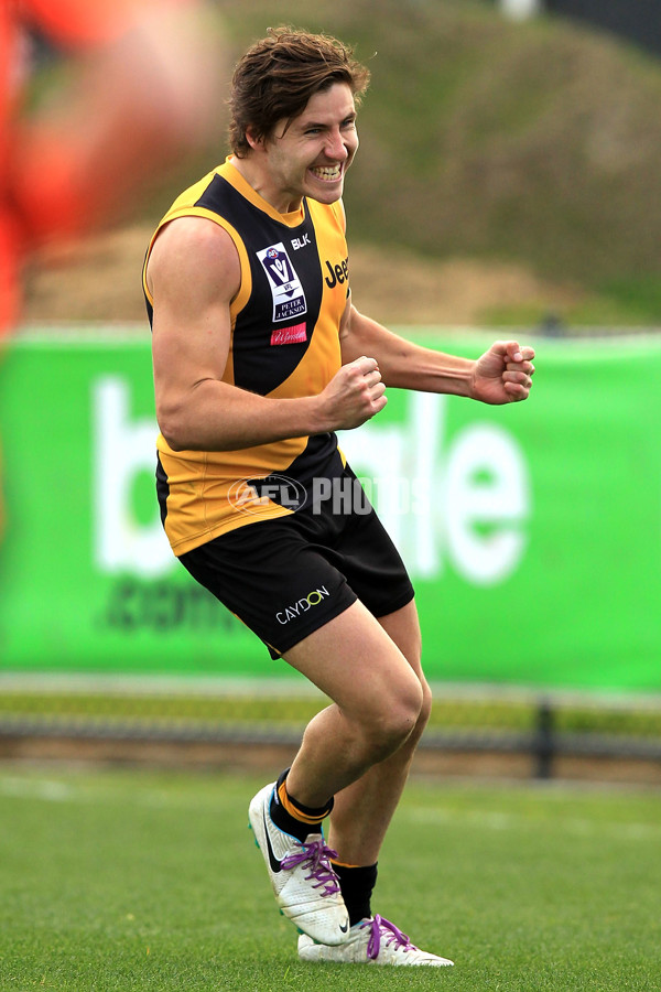 VFL 2015 Rd 18 - Richmond v Coburg Tigers - 398924