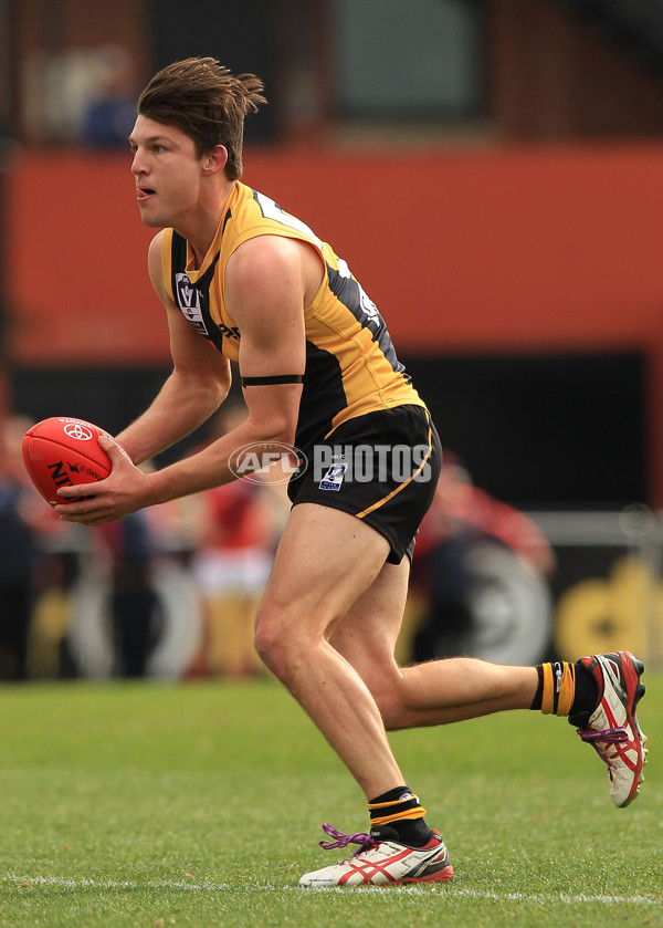 VFL 2015 Rd 18 - Richmond v Coburg Tigers - 398874