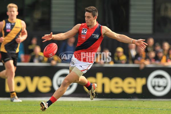 VFL 2015 Rd 18 - Richmond v Coburg Tigers - 398868