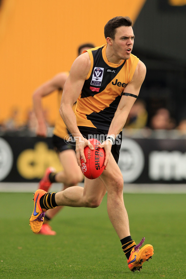 VFL 2015 Rd 18 - Richmond v Coburg Tigers - 398888