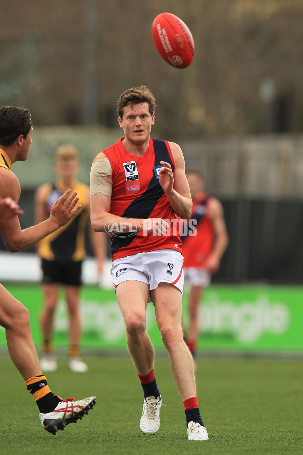 VFL 2015 Rd 18 - Richmond v Coburg Tigers - 398881