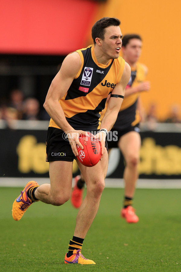 VFL 2015 Rd 18 - Richmond v Coburg Tigers - 398887