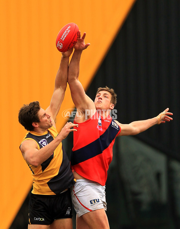 VFL 2015 Rd 18 - Richmond v Coburg Tigers - 398898