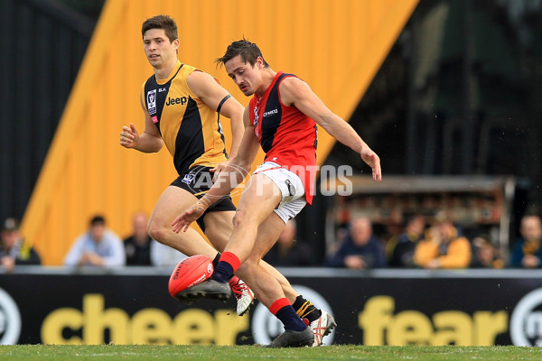 VFL 2015 Rd 18 - Richmond v Coburg Tigers - 398920