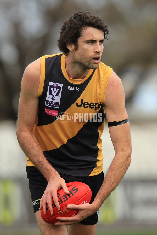 VFL 2015 Rd 18 - Richmond v Coburg Tigers - 398939