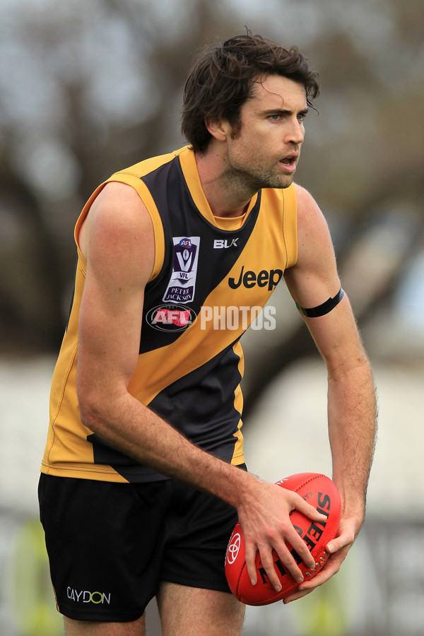 VFL 2015 Rd 18 - Richmond v Coburg Tigers - 398938