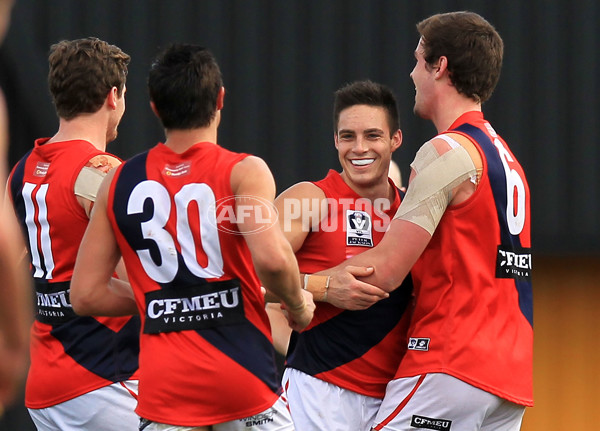 VFL 2015 Rd 18 - Richmond v Coburg Tigers - 398942