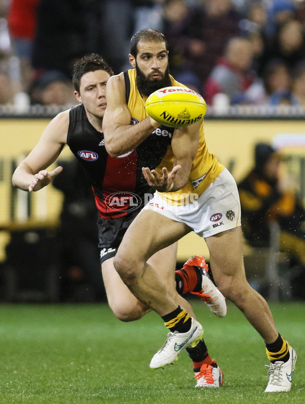 AFL 2015 Rd 22 - Essendon v Richmond - 399707