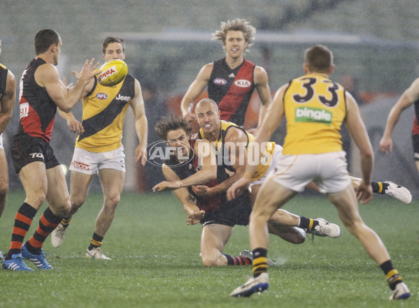 AFL 2015 Rd 22 - Essendon v Richmond - 399701