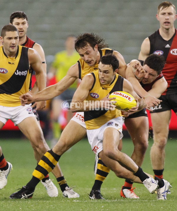 AFL 2015 Rd 22 - Essendon v Richmond - 399713