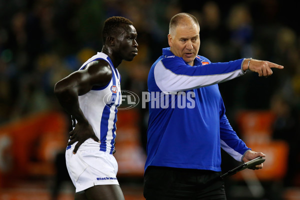 AFL 2015 Rd 23 - Richmond v North Melbourne - 400654