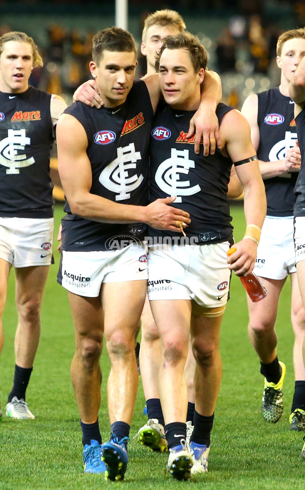 AFL 2015 Rd 23 - Hawthorn v Carlton - 401071