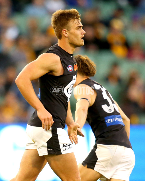 AFL 2015 Rd 23 - Hawthorn v Carlton - 400944