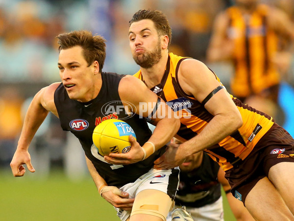 AFL 2015 Rd 23 - Hawthorn v Carlton - 400952