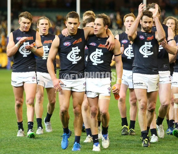 AFL 2015 Rd 23 - Hawthorn v Carlton - 401069