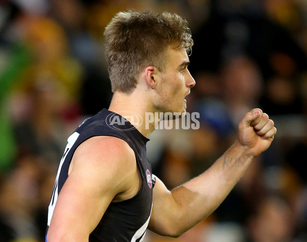 AFL 2015 Rd 23 - Hawthorn v Carlton - 401182