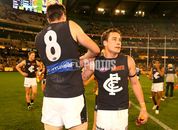 AFL 2015 Rd 23 - Hawthorn v Carlton - 401087