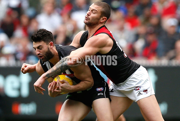 AFL 2015 Rd 23 - Collingwood v Essendon - 401508