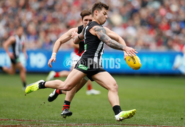 AFL 2015 Rd 23 - Collingwood v Essendon - 401533