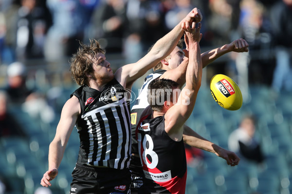 SANFL 2015 Qulaifying Final - Port Adelaide Magpies v West Adelaide Bloods - 401561