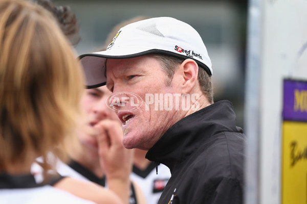 TAC 2015 2nd Qualifying Final - Dandenong Stingrays v Murray Bushrangers - 401916