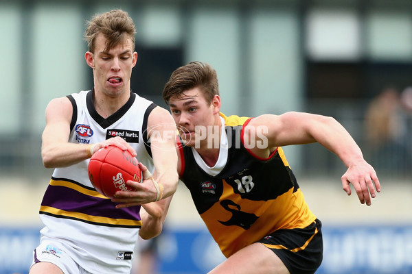 TAC 2015 2nd Qualifying Final - Dandenong Stingrays v Murray Bushrangers - 401926