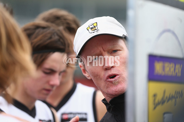 TAC 2015 2nd Qualifying Final - Dandenong Stingrays v Murray Bushrangers - 401917