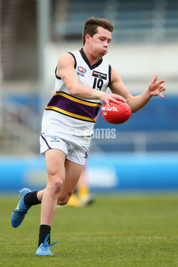 TAC 2015 2nd Qualifying Final - Dandenong Stingrays v Murray Bushrangers - 401927