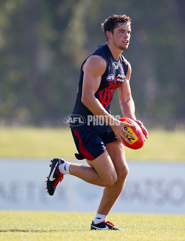 AFL 2014 Training - Melbourne 170114 - 310989