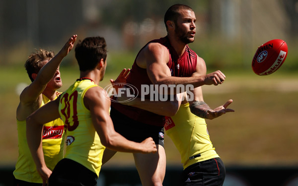 AFL 2015 Training - Essendon 041215 - 412931