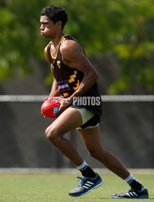 AFL 2015 Training - Hawthorn 031215 - 412812