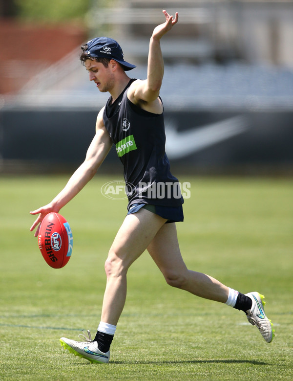 AFL 2015 Training - Carlton 021215 - 412755