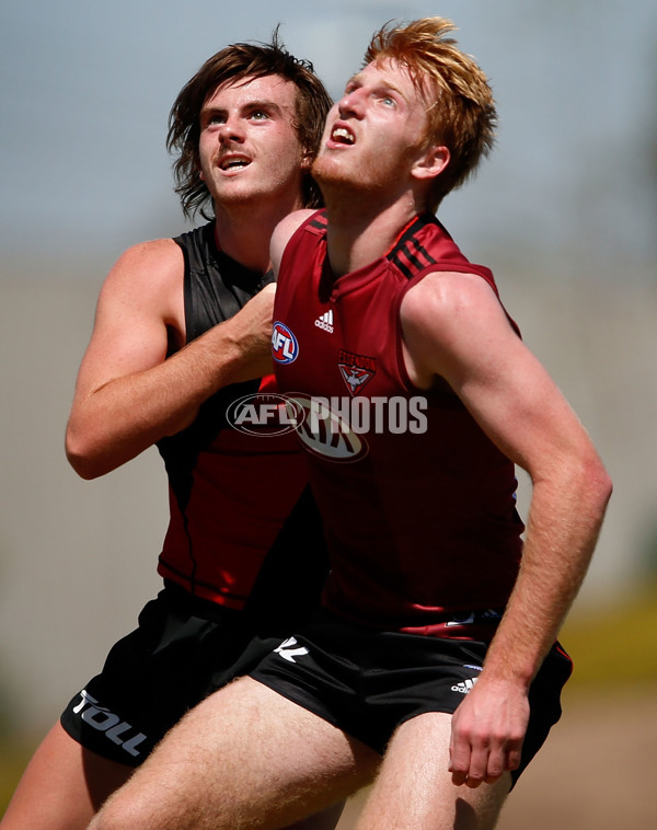 AFL 2015 Training - Essendon 041215 - 412975