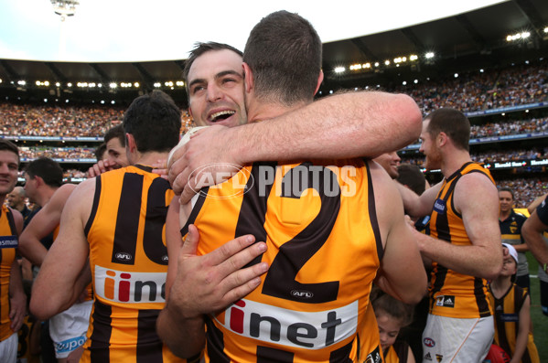 2015 Toyota AFL Grand Final - Hawthorn v West Coast - 408446